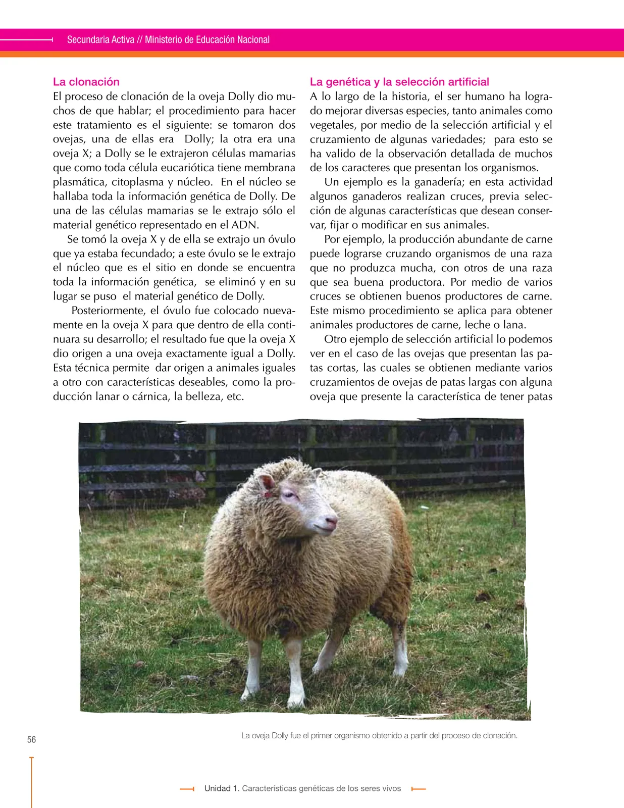Pág 56