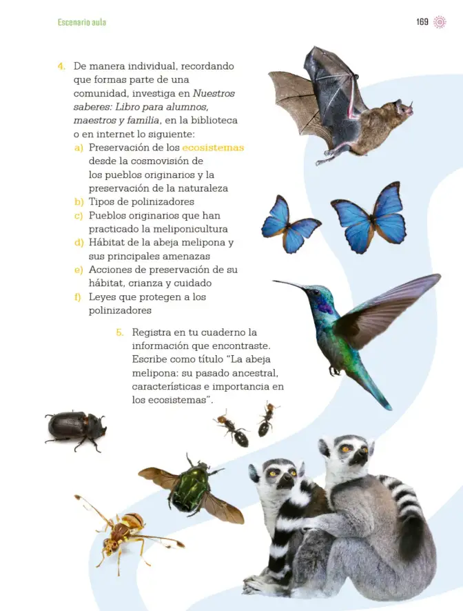 Página 172 de Proyectos de Aula. Libro de Educación Primaria Grado 3° Ciclo Escolar 2025 - 2026