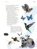 Miniatura página 172 de Proyectos de Aula.   Libro de Educación Primaria Grado 3°  Ciclo Escolar 2025 - 2026