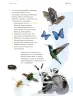 Miniatura página 172 de Proyectos de Aula.   Libro de Educación Primaria Grado 3°  Ciclo Escolar 2025 - 2026
