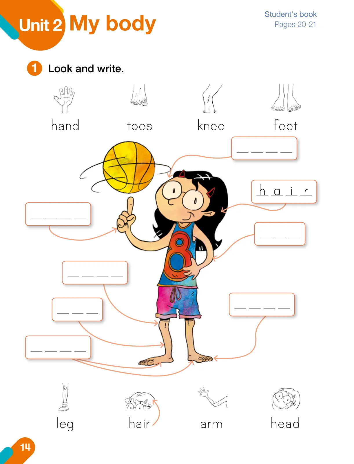 Página 16 de Inglés – Primero Básico | Student’s Book MINEDUC – Descargar PDF · 2024