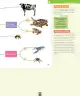 Miniatura página 96 de Ciencias Naturales – Segundo Básico | Texto del Estudiante MINEDUC – Descargar PDF · 2024