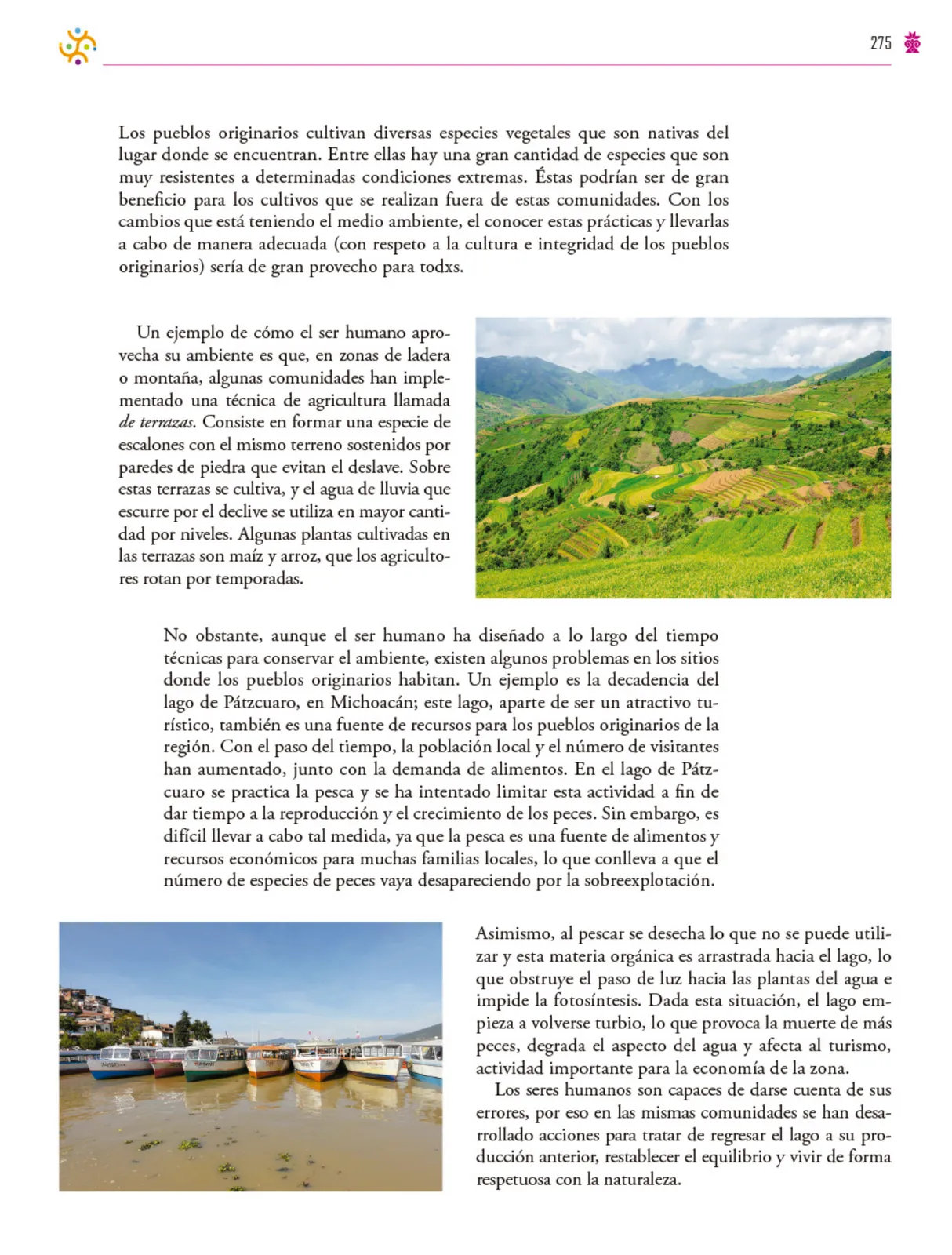 Miniatura página 276 de Colección Ximhai. Saberes y pensamiento científico.   Libro de Educación Secundaria Grado 1°  Ciclo Escolar 2025 - 2026