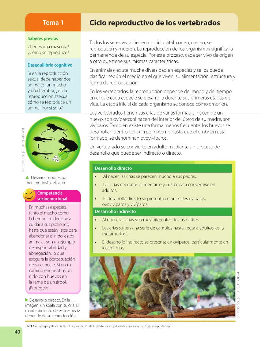Página 42 de Ciencias Naturales · 6 EGB · 2025