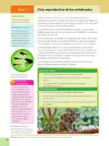 Miniatura página 42 de Ciencias Naturales 6° · Egb 6 Ciencias Naturales 2025 · 2025