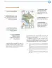 Miniatura página 8 de Cartografía de México y el mundo.   Libro de Educación Primaria Grado 4°  Ciclo Escolar 2025 - 2026