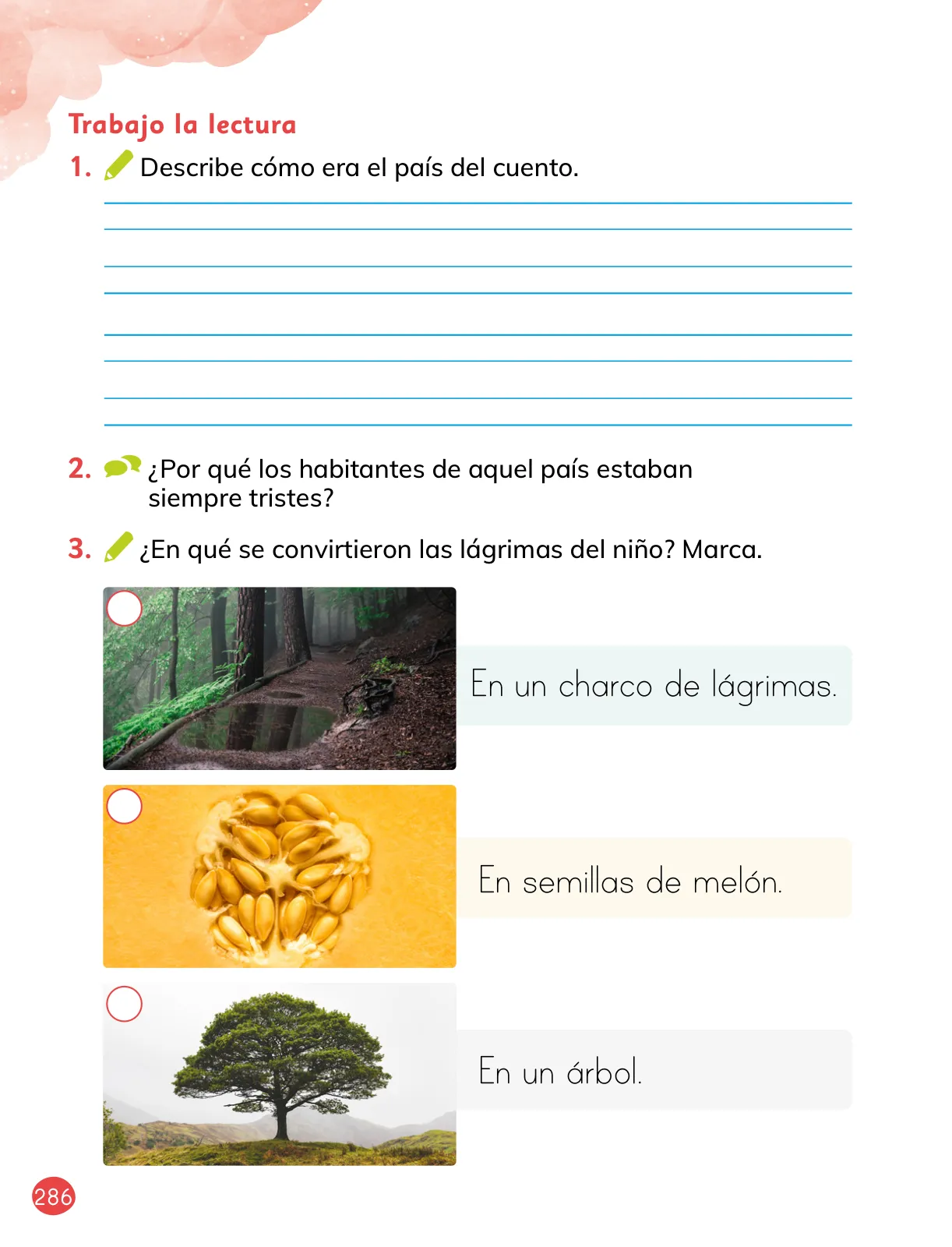 Miniatura página 16 de Lenguaje y Comunicación – Primero Básico | Texto del Estudiante MINEDUC – Descargar PDF · 2024