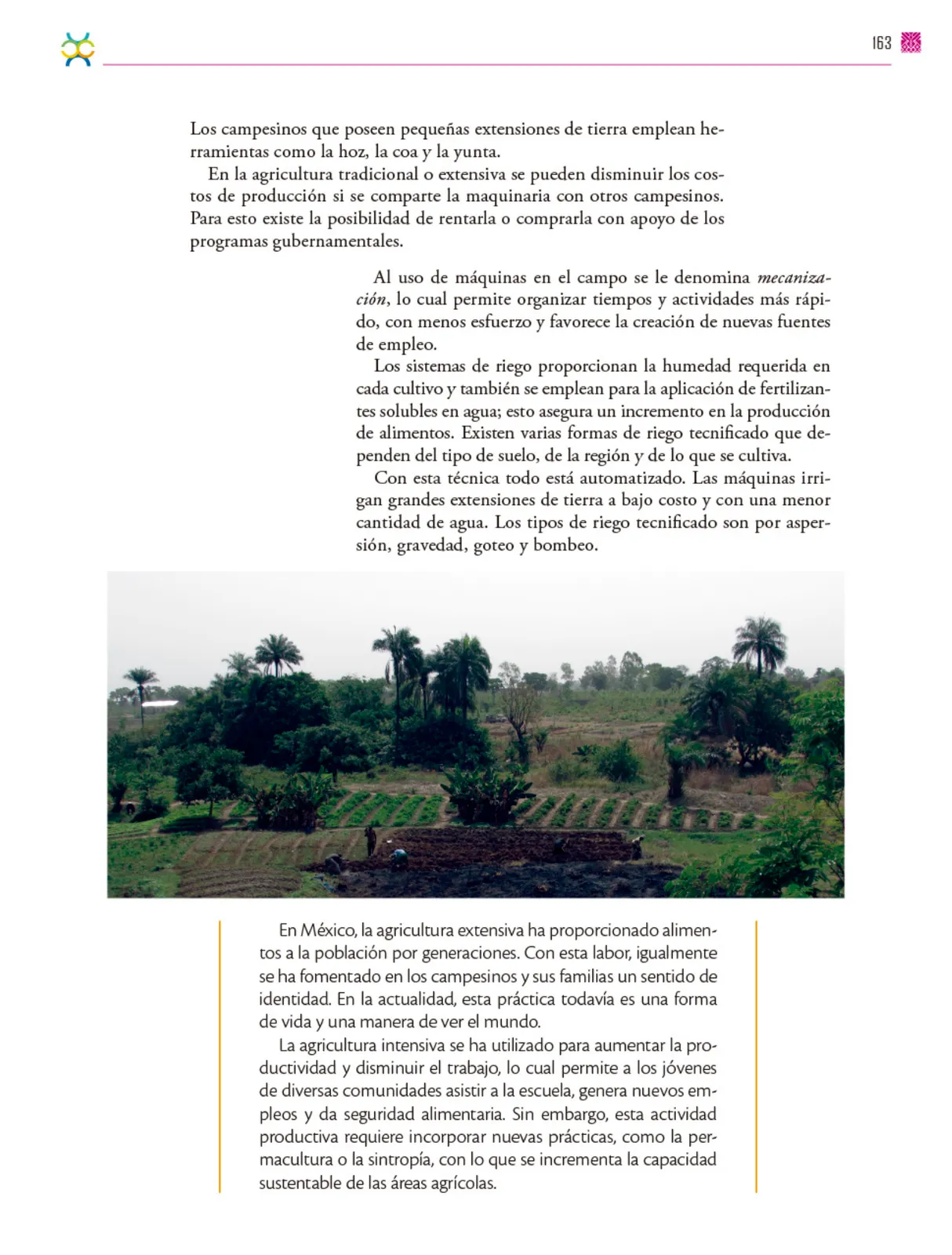 Miniatura página 164 de Colección Nanahuatzin. De lo humano y lo comunitario.   Libro de Educación Secundaria Grado 3°  Ciclo Escolar 2025 - 2026