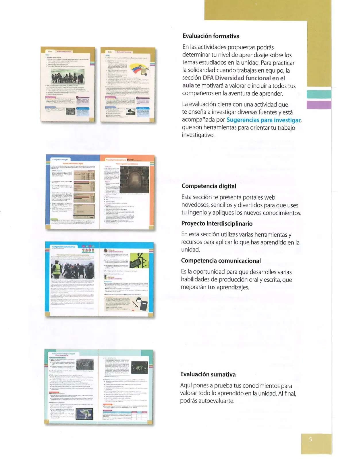Página 4