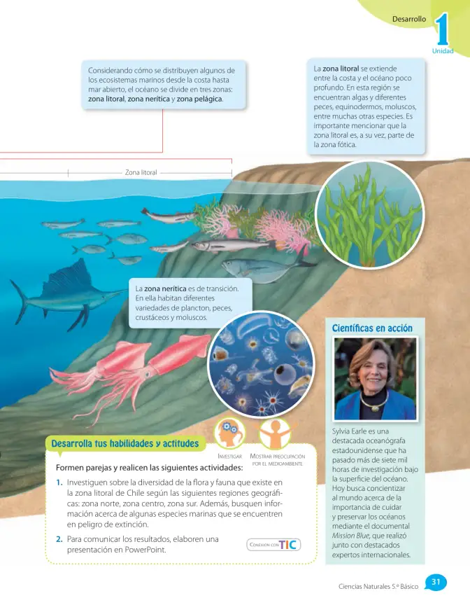 Página 75 de Libro de Ciencias Naturales – Quinto Básico | Texto del Estudiante MINEDUC – Descargar PDF · 2024