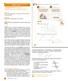Miniatura página 146 de Sumo Primero – Quinto Básico | Texto del Estudiante MINEDUC – Descargar PDF · 2024