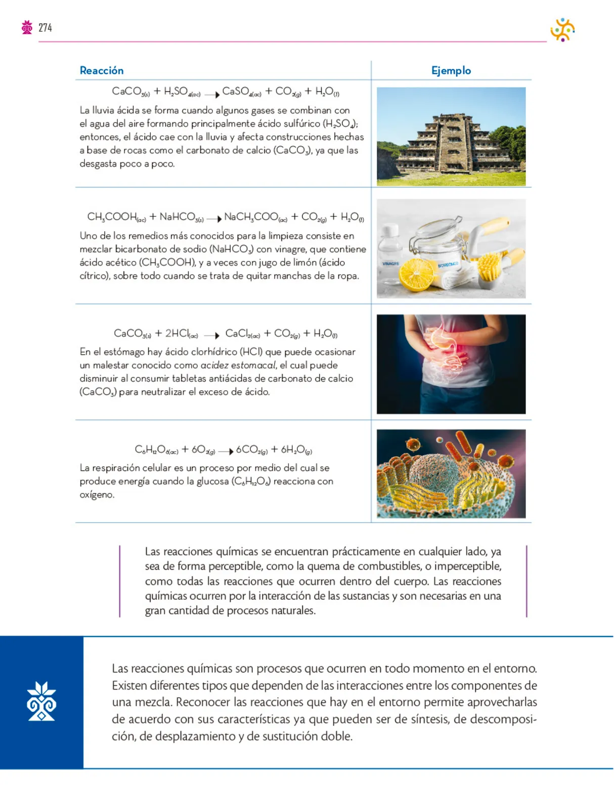 Página 275 de Colección Nanahuatzin. Saberes y pensamiento científico. Libro de Educación Secundaria Grado 3° Ciclo Escolar 2025 - 2026