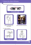 Miniatura página 55 de Lengua de señas peruana : guía para el aprendizaje de la lengua de señas peruana, vocabulario básico · 2015