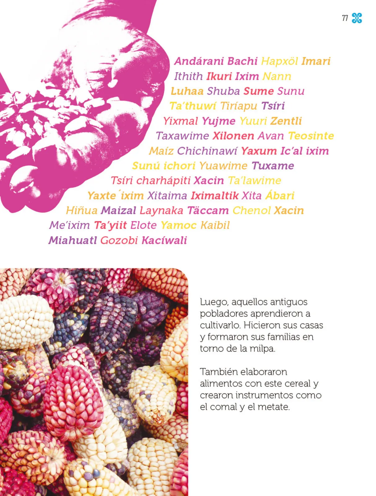 Pág 78