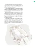 Miniatura página 116 de Colección Nanahuatzin. Múltiples lenguajes.  Libro de Educación Telesecundaria Grado 3°  Ciclo Escolar 2025 - 2026