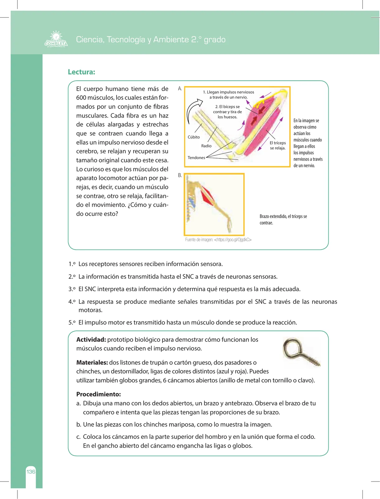 Página 136 de Ciencia, Tecnología y Ambiente 2 : cuaderno de reforzamiento pedagógico - JEC · 2016