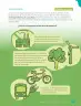 Miniatura página 179 de Libro de Ciencias Naturales – Quinto Básico | Texto del Estudiante MINEDUC – Descargar PDF · 2024