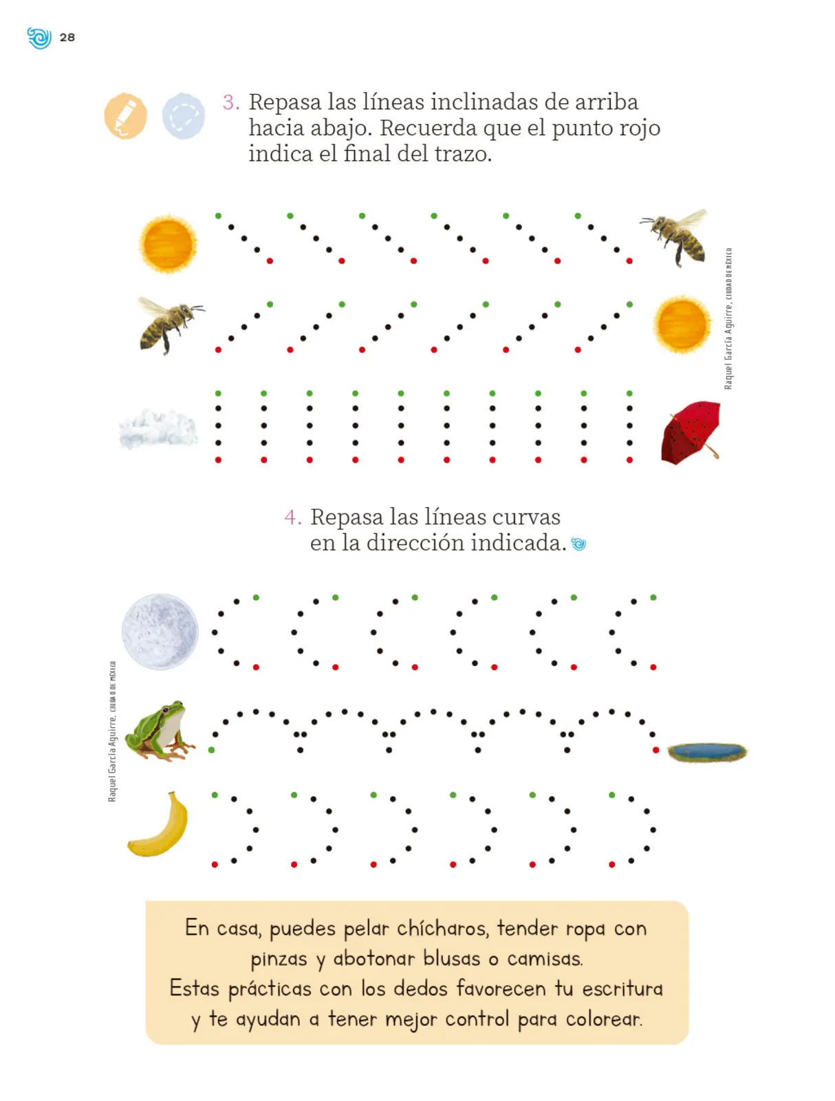Miniatura página 29 de Múltiples lenguajes. Trazos y palabras.   Libro de Educación Primaria Grado 1°  Ciclo Escolar 2025 - 2026