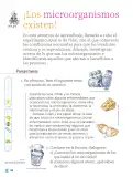 Miniatura página 169 de Proyectos Comunitarios.   Libro de Educación Primaria Grado 1°  Ciclo Escolar 2025 - 2026