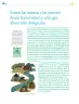 Miniatura página 187 de Colección Nanahuatzin. Nuestro libro de Proyectos. Tomo I.   Libro de Educación Telesecundaria Grado 3°  Ciclo Escolar 2025 - 2026