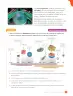 Miniatura página 117 de Libro de Ciencias Naturales – Quinto Básico | Texto del Estudiante MINEDUC – Descargar PDF · 2024