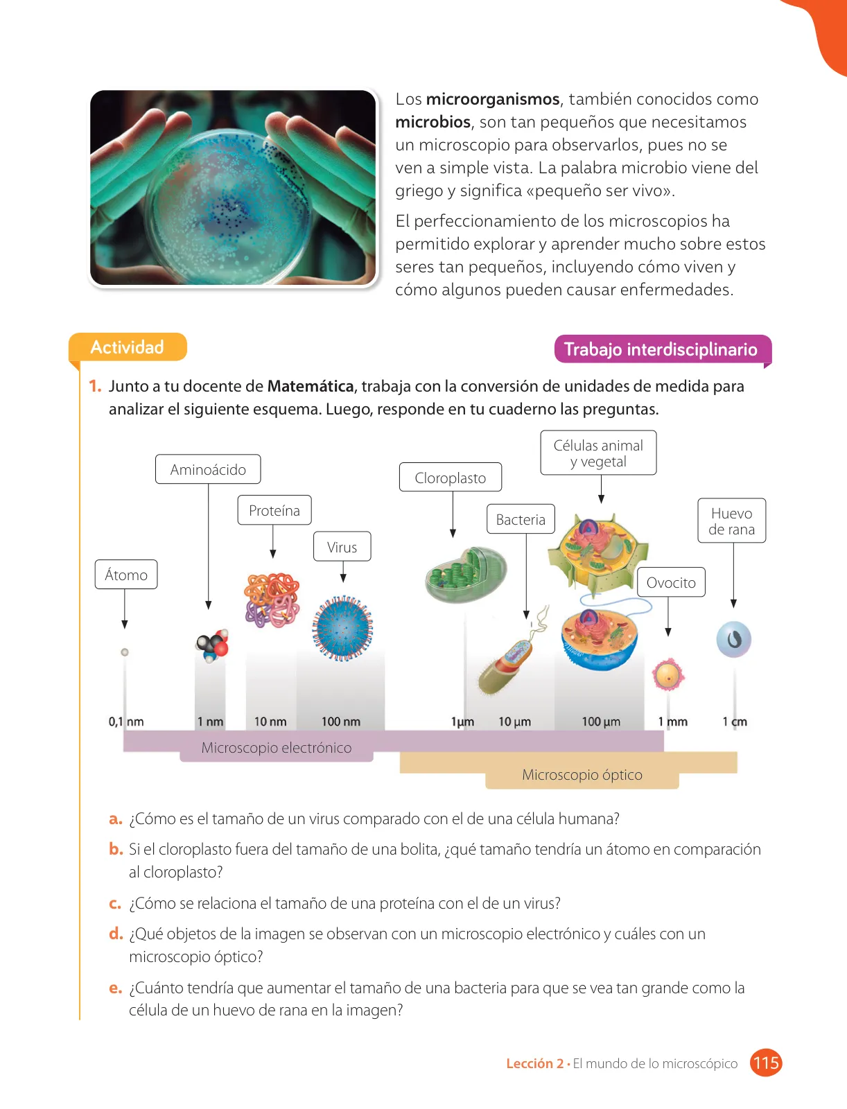 Miniatura página 117 de Libro de Ciencias Naturales – Quinto Básico | Texto del Estudiante MINEDUC – Descargar PDF · 2024