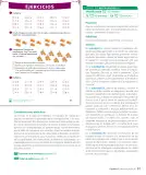 Miniatura página 93 de Sumo Primero – Tercero Básico | Texto del Estudiante MINEDUC – Descargar PDF · 2024