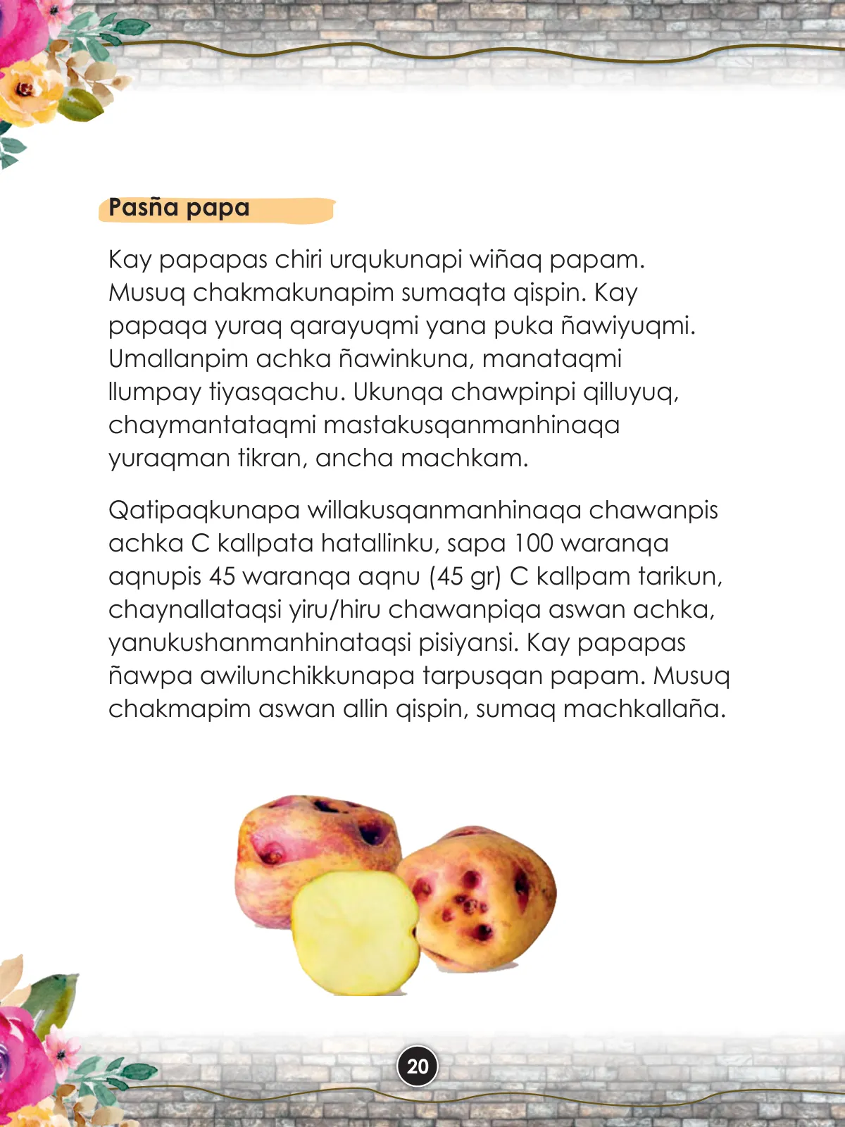 Pág 22
