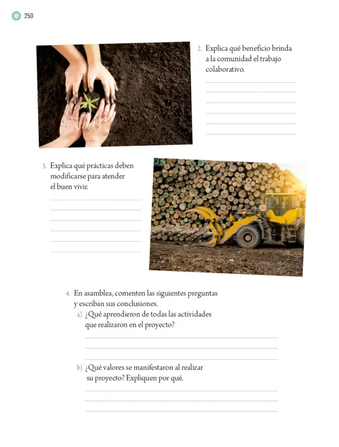 Página 253 de Proyectos Escolares. Libro de Educación Primaria Grado 6° Ciclo Escolar 2025 - 2026