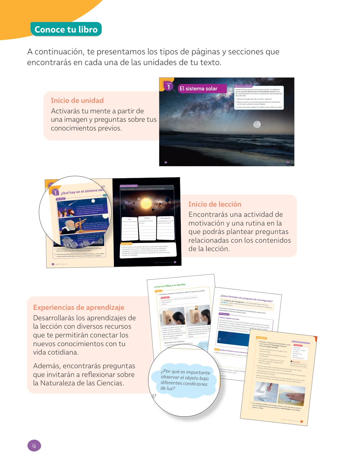 Miniatura página 6 de Ciencias Naturales – Tercero Básico | Texto del Estudiante MINEDUC – Descargar PDF · 2024