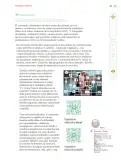 Miniatura página 58 de Nuestros saberes: Libro para alumnos, maestros y familia.   Libro de Educación Primaria Grado 6°  Ciclo Escolar 2025 - 2026