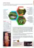 Miniatura página 131 de Ciencias Naturales 4° · Egb 4 Ciencias Naturales 2025 · 2025