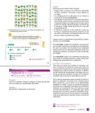 Miniatura página 117 de Sumo Primero – Cuarto Básico | Texto del Estudiante MINEDUC – Descargar PDF · 2024