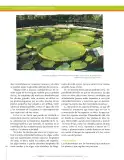 Miniatura página 254 de Ciencias Naturales 9° · Secundaria Activa