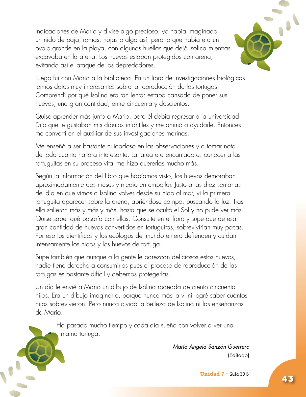 Página 43
