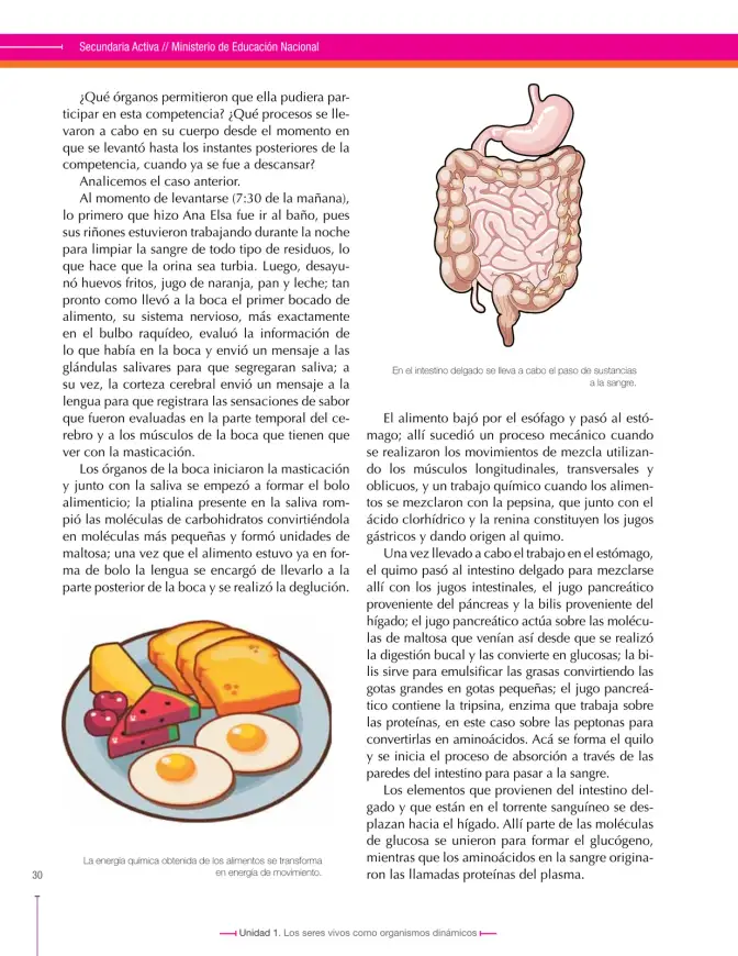 Página 30 de Ciencias Naturales 8° · Secundaria Activa