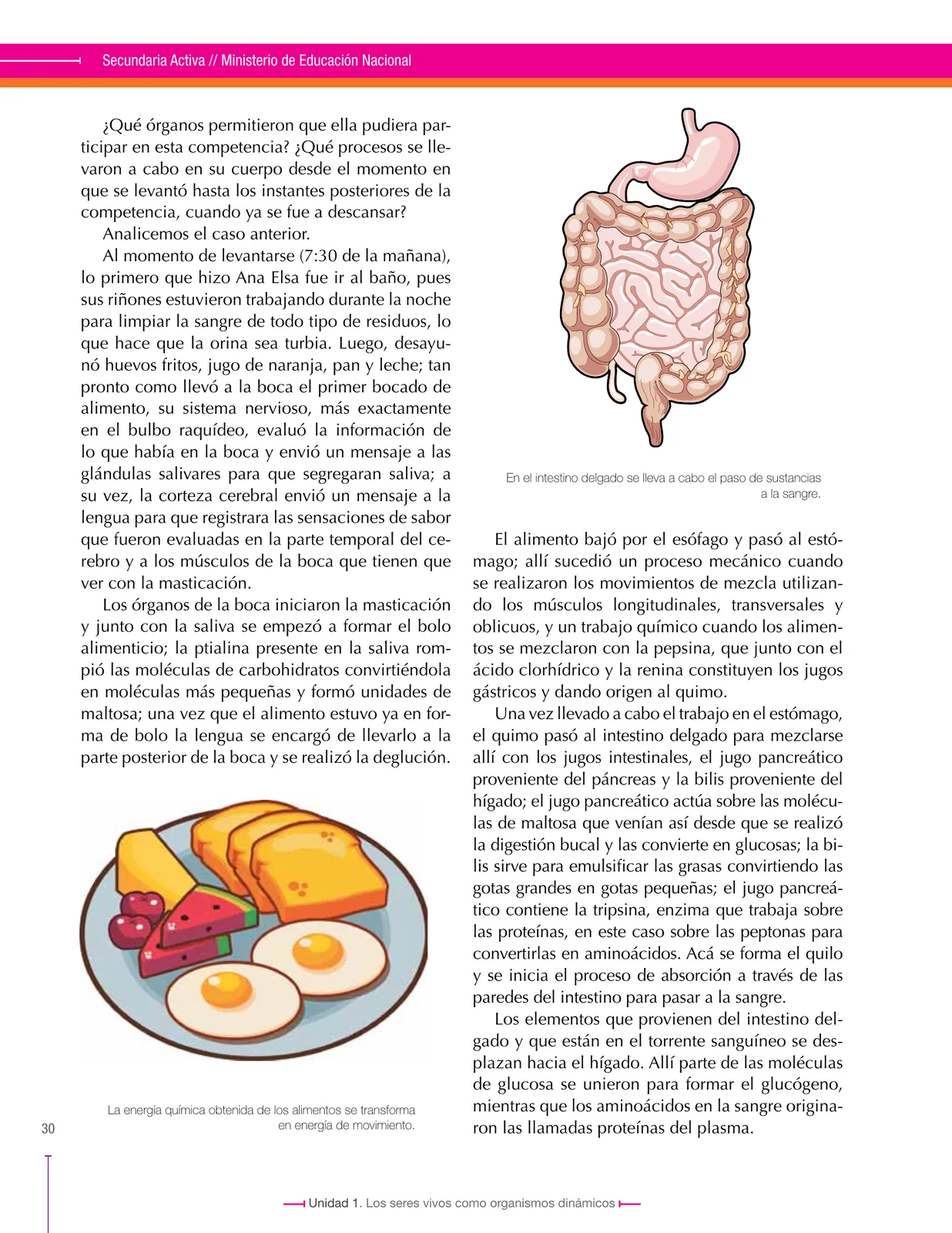 Miniatura página 30 de Ciencias Naturales 8° · Secundaria Activa