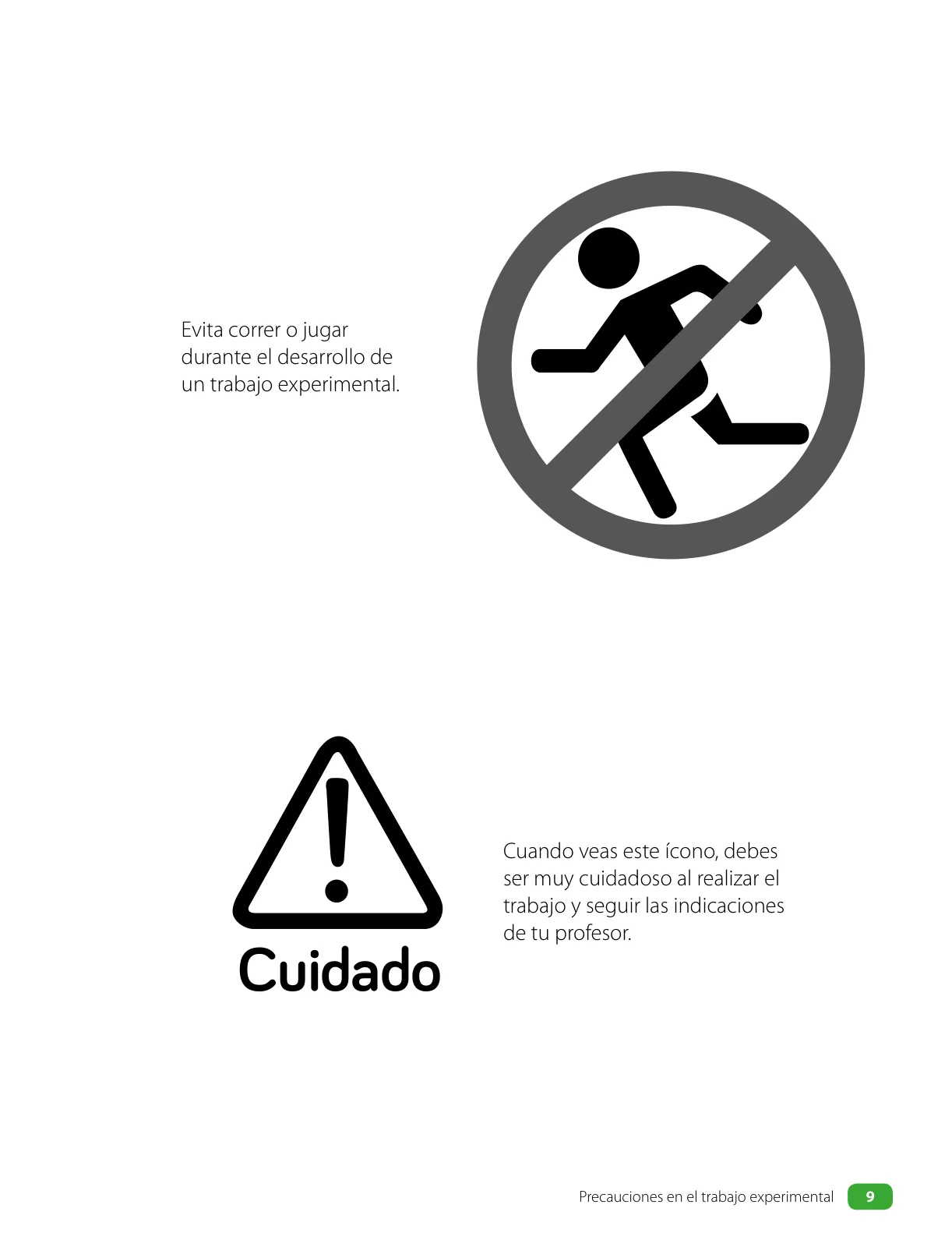 Miniatura página 11 de Ciencias Naturales – Cuarto Básico | Texto del Estudiante MINEDUC – Descargar PDF · 2024