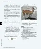 Miniatura página 37 de Lenguaje y Comunicación – Primero Básico | Texto del Estudiante MINEDUC – Descargar PDF · 2024