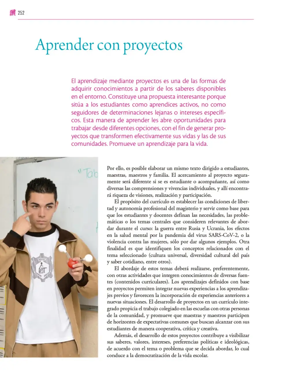 Página 253