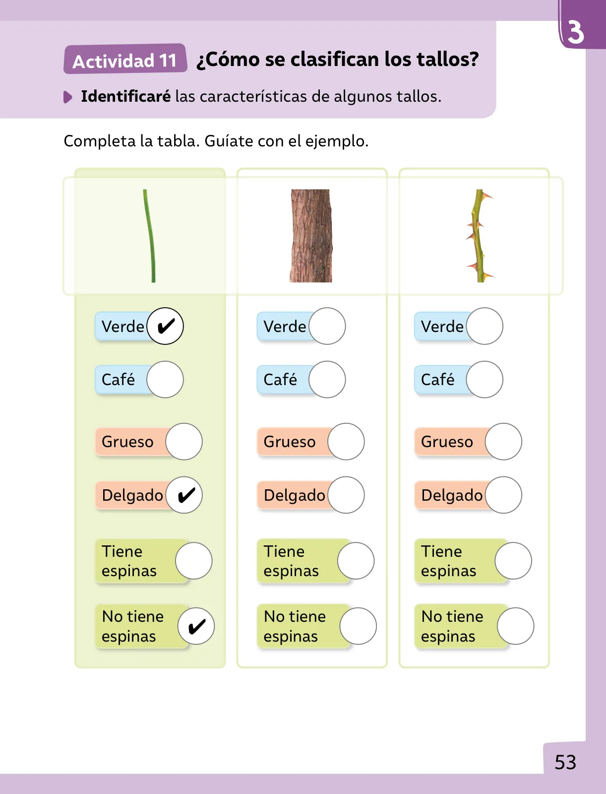 Página 54 de Ciencias Naturales – Primero Básico | Texto del Estudiante (MINEDUC) – Descargar PDF · 2024