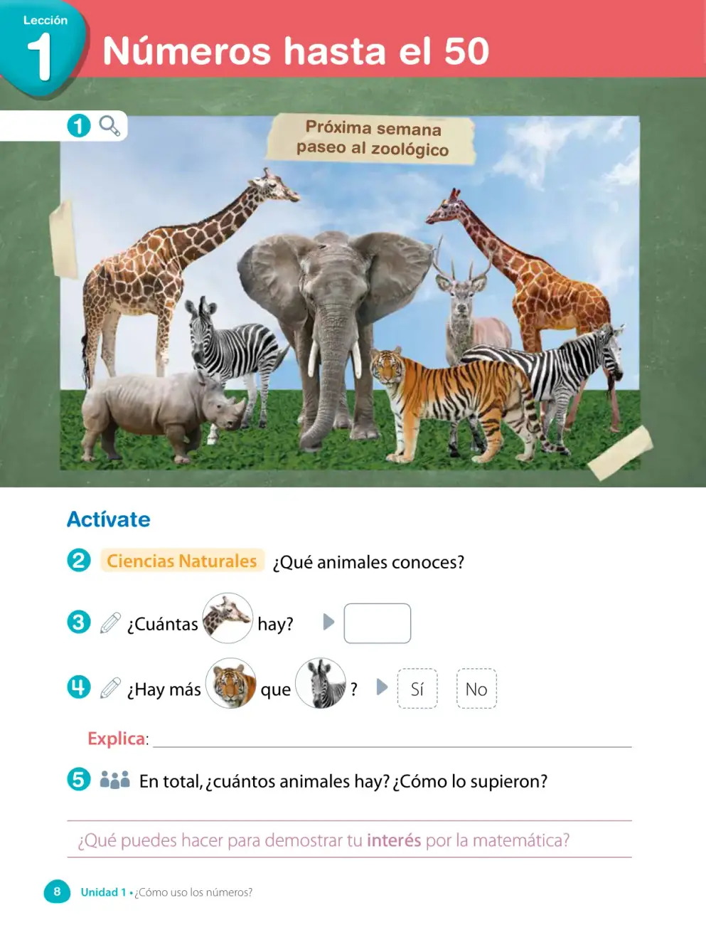 Página 5