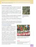 Miniatura página 132 de Estudios Sociales 7° · 2025