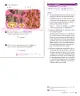Miniatura página 87 de Sumo Primero – Primero Básico | Texto del Estudiante (MINEDUC) – Descargar PDF · 2024