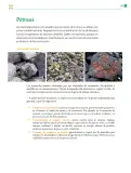Miniatura página 94 de Colección Sk´asolil. De lo humano y lo comunitario.   Libro de Educación Telesecundaria Grado 2°  Ciclo Escolar 2025 - 2026