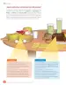 Miniatura página 62 de Libro de Ciencias Naturales – Quinto Básico | Texto del Estudiante MINEDUC – Descargar PDF · 2024