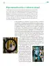 Miniatura página 220 de Colección Sk´asolil. De lo humano y lo comunitario.   Libro de Educación Telesecundaria Grado 2°  Ciclo Escolar 2025 - 2026