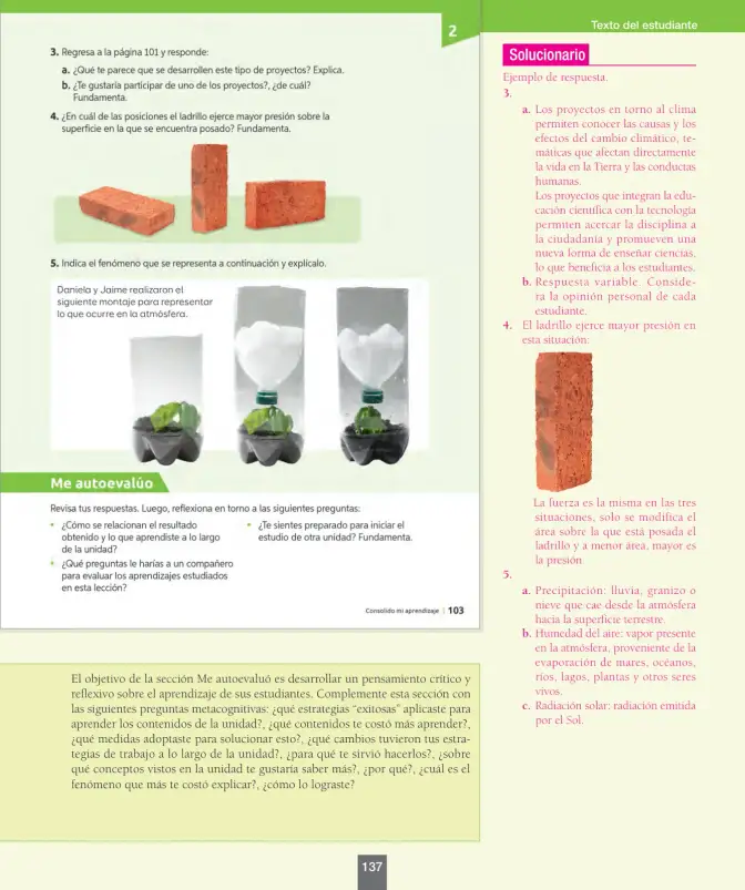 Página 138 de Ciencias Naturales – Séptimo Básico | Texto del Estudiante MINEDUC – Descargar PDF · 2024