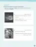 Miniatura página 86 de Lenguaje y Comunicación – Cuarto Básico | Texto del Estudiante MINEDUC – Descargar PDF · 2024