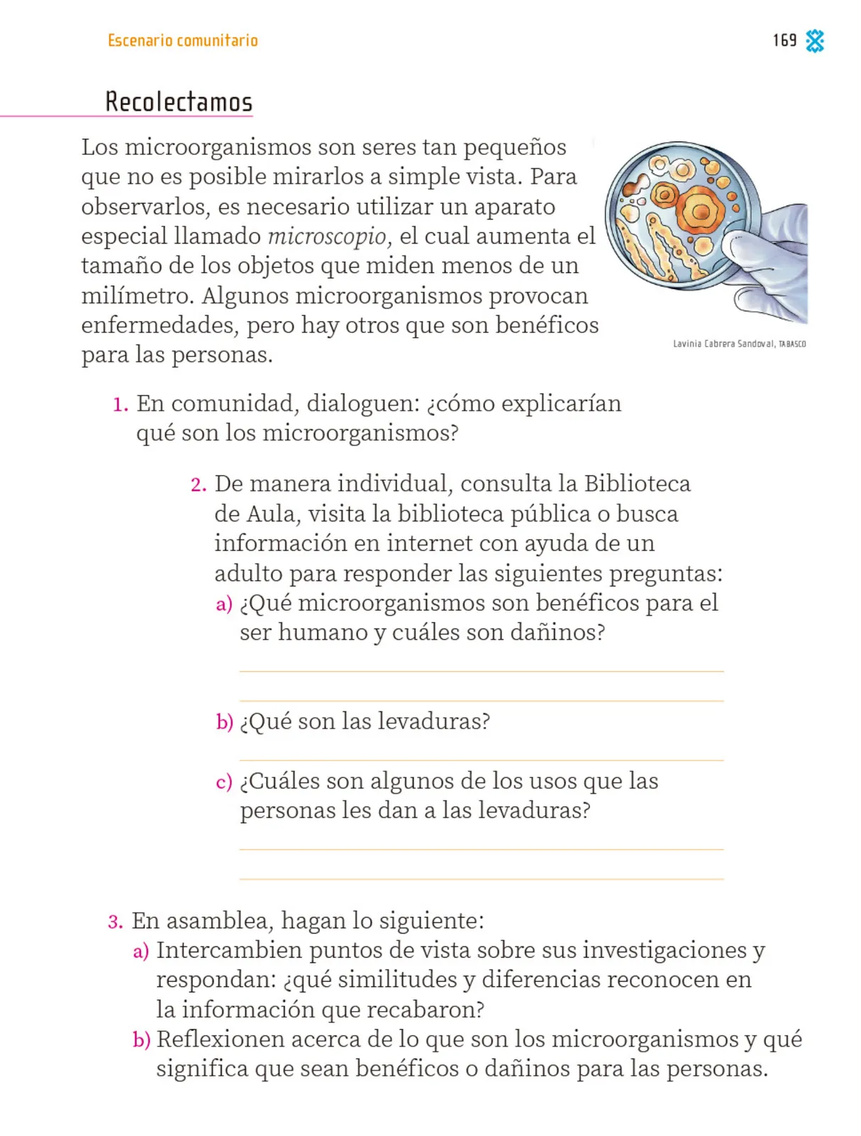 Miniatura página 170 de Proyectos Comunitarios.   Libro de Educación Primaria Grado 1°  Ciclo Escolar 2025 - 2026
